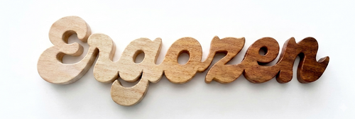 Ergozen